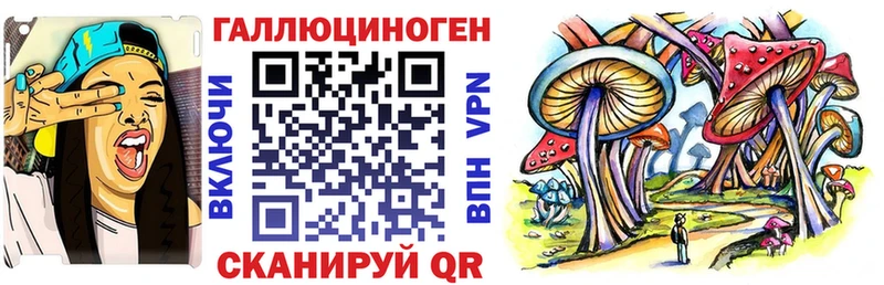 Галлюциногенные грибы мицелий  наркота  Дальнегорск 