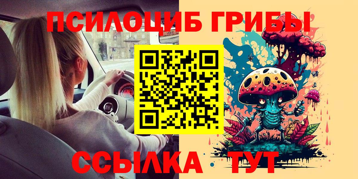 Псилоцибиновые грибы мицелий  Псилоцибиновые грибы прущие грибы  Вход с VPN  что такое   Дальнегорск 